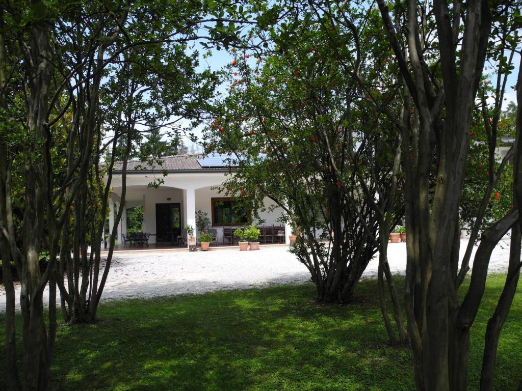 B&B Villa Miani Silea Eksteriør bilde